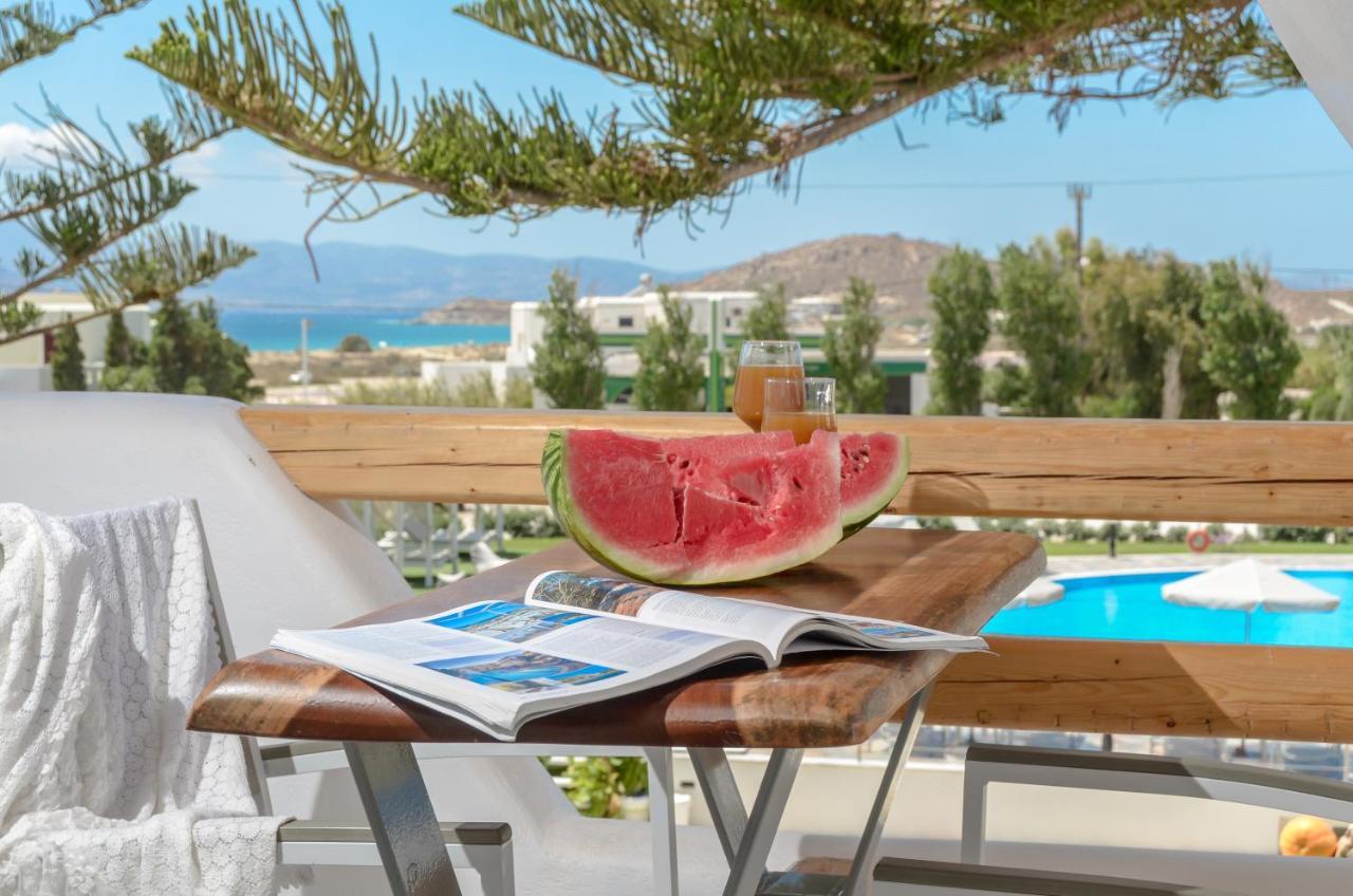 Birikos Studios & Apartments Agios Prokopios  Dış mekan fotoğraf